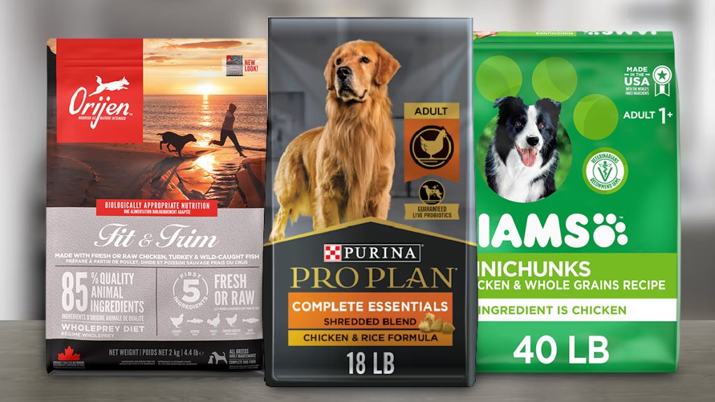 Best Dry Dog Food